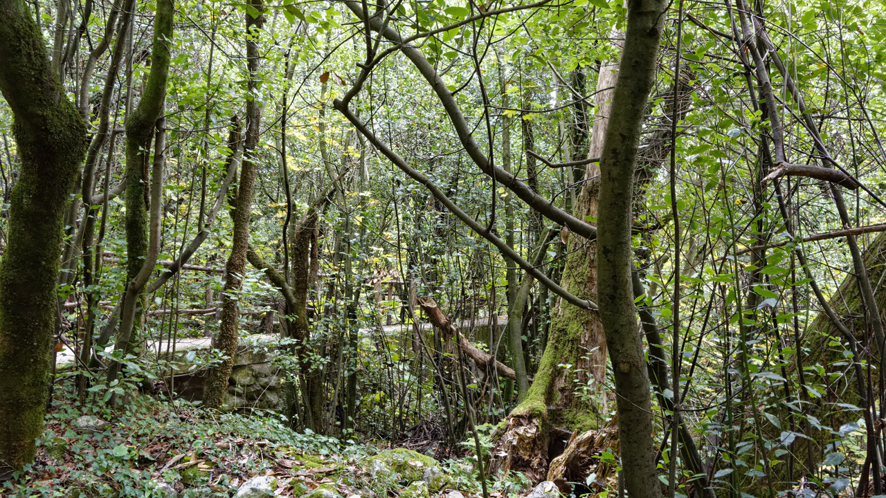 20221104 111045•Konavle•County of Dubrovnik-Neretva•Croatia